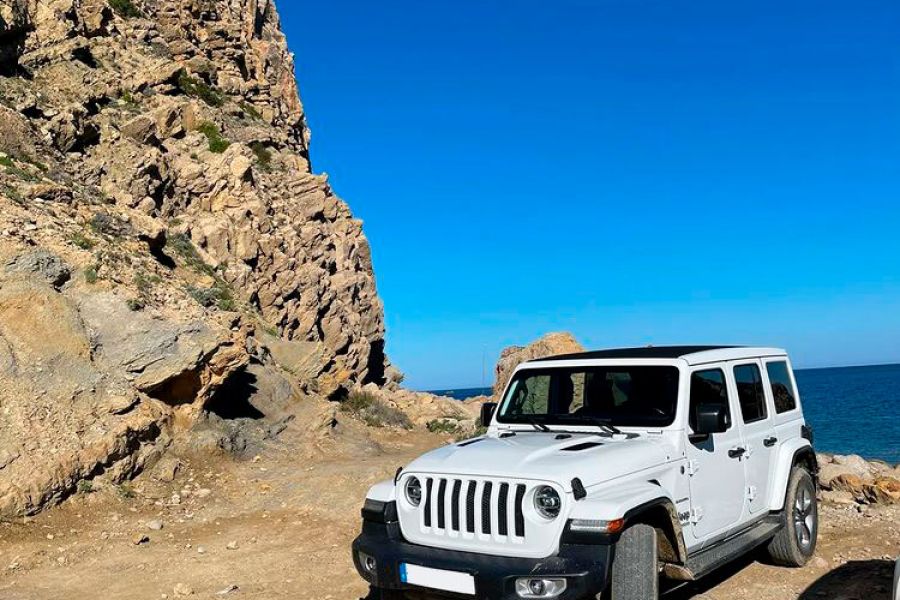 Jeeps